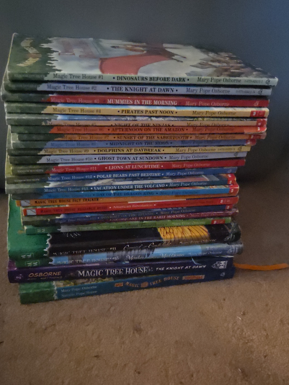 Magic Tree House Book Set Lot Of 22 Includes Journal